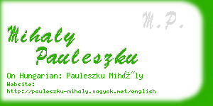 mihaly pauleszku business card